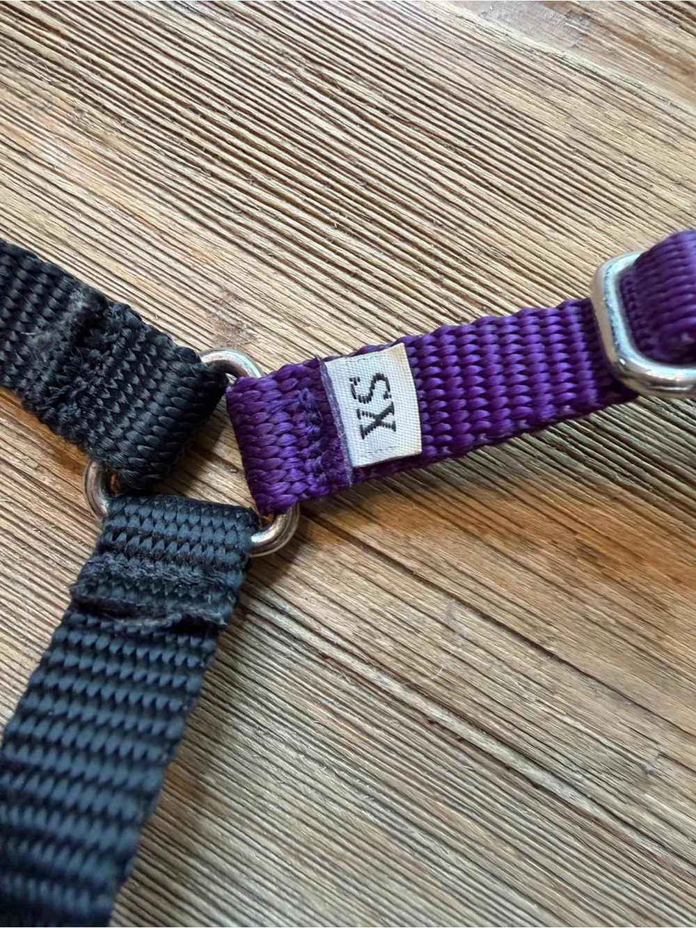 Wonder Walker Dog Harness Purple XS